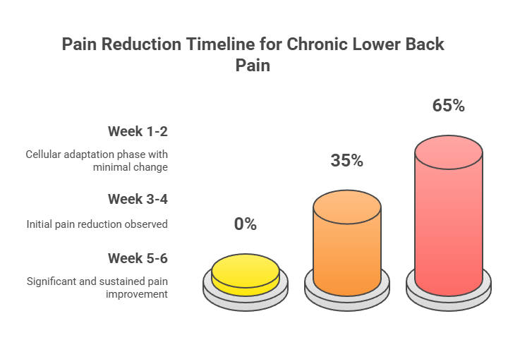 Evidence-Based Protocol Guide by Condition