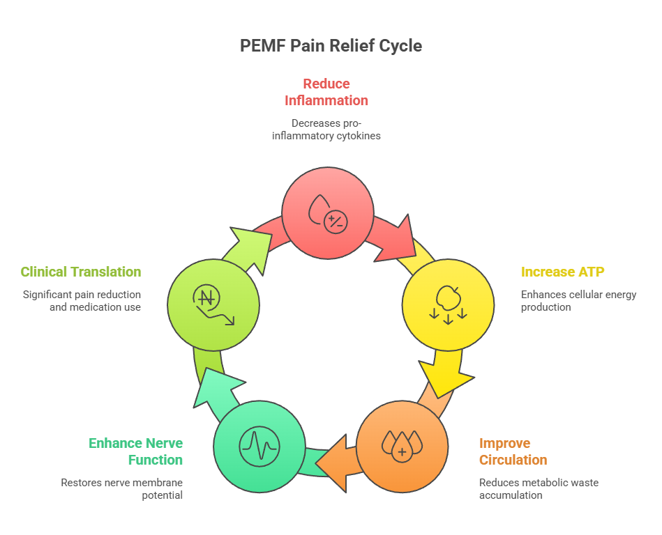How Cellular Effects Become Therapeutic Outcomes